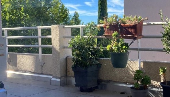 Logement �tudiant T3 &agrave; Hy�res (83400)