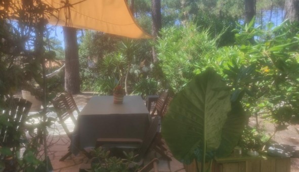 Logement tudiant T3 à Lacanau (33680)