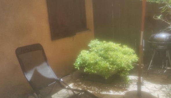 Logement tudiant T3 à Lacanau (33680)