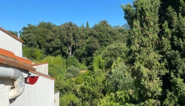 Logement tudiant T3 à Laroque des Albres (66740)