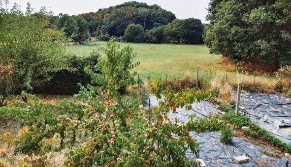 Logement �tudiant T3 &agrave; Le Bourgneuf la For�t (53410)