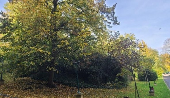 Logement tudiant T3 à Le Pecq (78230)