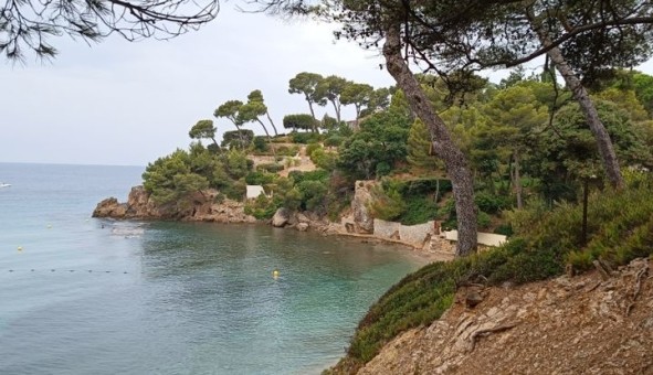 Logement �tudiant Location T3 Vide Le Pradet (83220)