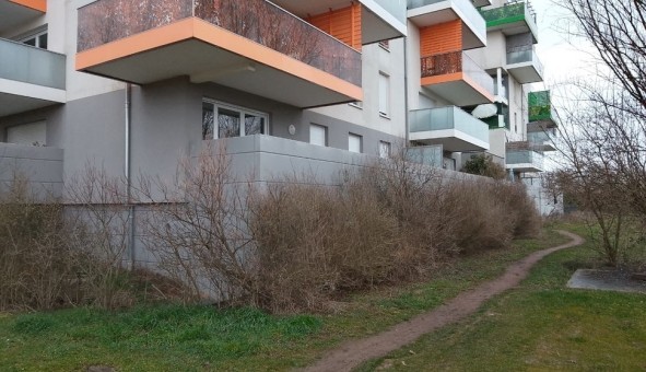 Logement �tudiant T3 &agrave; Lingolsheim (67380)