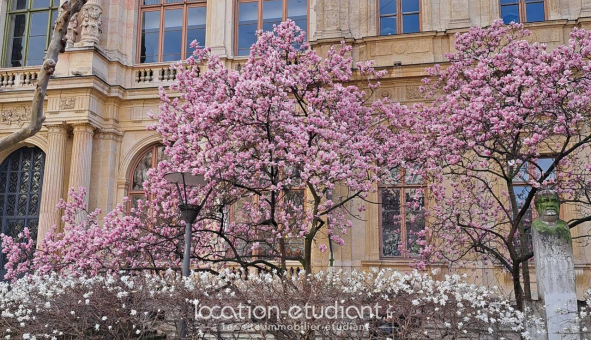 Logement étudiant T3 &agrave; Lyon 2ème arrondissement (69002)