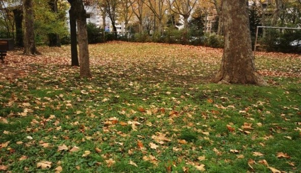 Logement tudiant T3 à Lyon 7me arrondissement (69007)