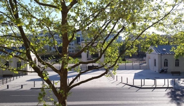 Logement �tudiant Location T3 Vide Maisons Alfort (94700)