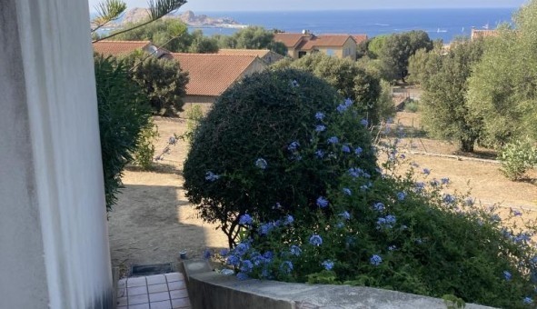 Logement tudiant T3 à Monticello (20220)