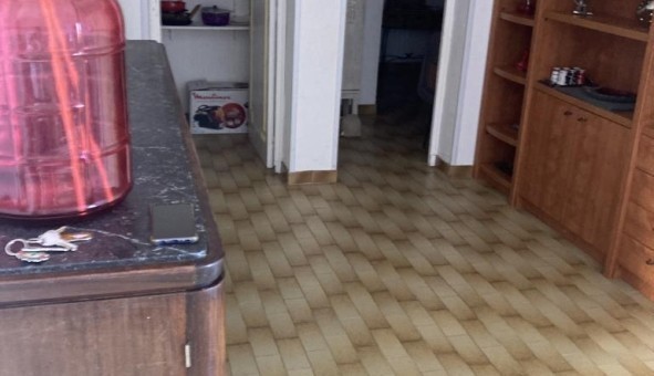Logement tudiant T3 à Monticello (20220)