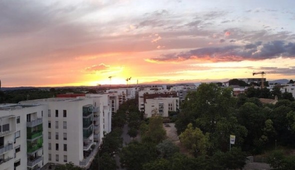 Logement tudiant T3 à Montpellier (34080)