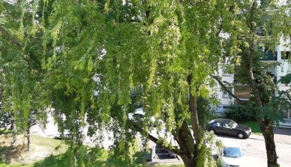 Logement �tudiant T3 &agrave; Mulhouse (68100)