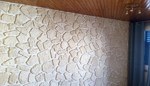 Logement tudiant T3 à Nancy (54100)