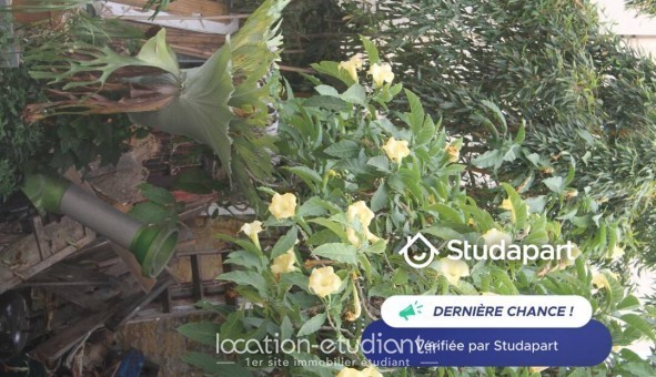 Logement tudiant T3 à Nice (06100)