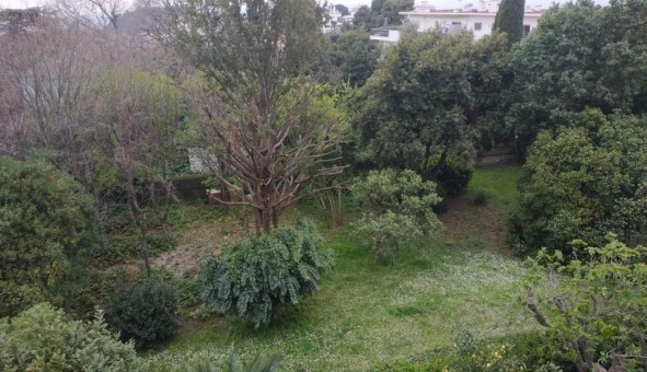 Logement �tudiant T3 &agrave; Nice (06100)