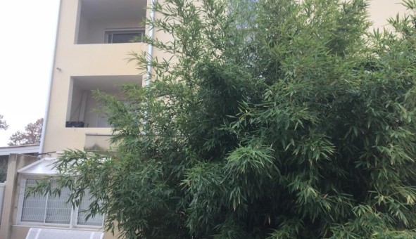 Logement tudiant T3 à Nmes (30000)