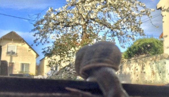 Logement tudiant T3 à Noisy le Grand (93160)