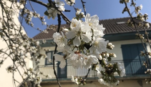 Logement �tudiant T3 &agrave; Noisy le Grand (93160)