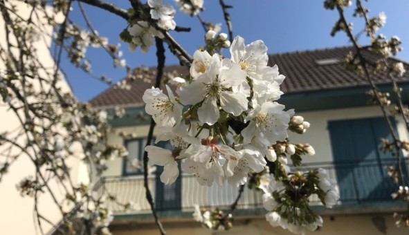 Logement �tudiant T3 &agrave; Noisy le Grand (93160)