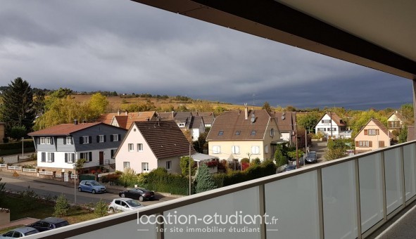 Logement tudiant Location T3 Vide Obernai (67210)