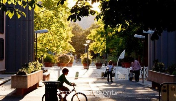 Logement �tudiant Location T3 Vide Orl�ans (45100)