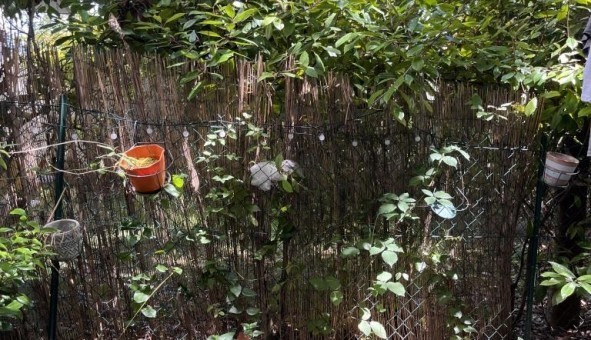 Logement tudiant T3 à Pantin (93500)