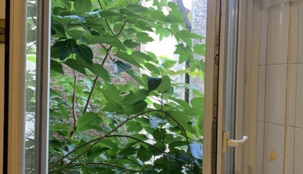 Logement tudiant T3 à Paris 05me arrondissement (75005)