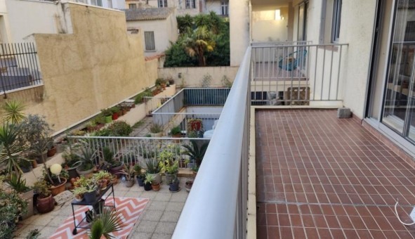 Logement tudiant T3 à Perpignan (66100)