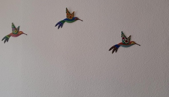 Logement tudiant T3 à Pzilla la Rivire (66370)