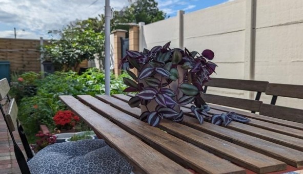 Logement �tudiant T3 &agrave; Pierrelaye (95480)