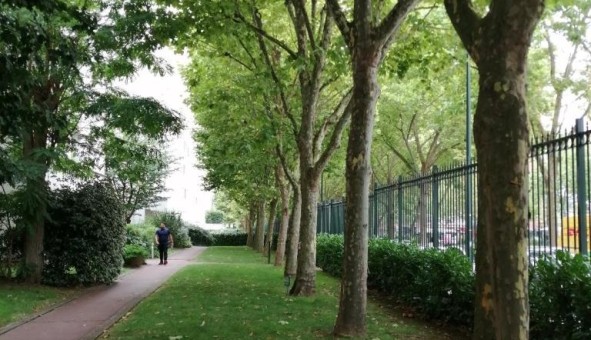 Logement tudiant T3 à Puteaux (92800)