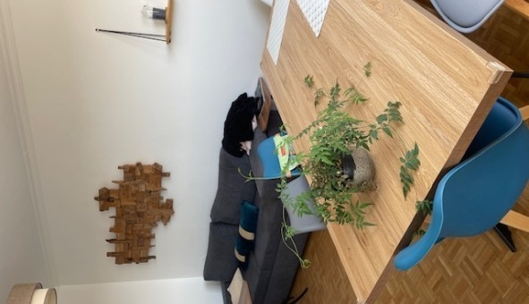 Logement tudiant T3 à Reims (51100)