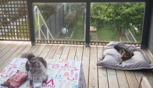 Logement tudiant T3 à Saint Andr lez Lille (59350)