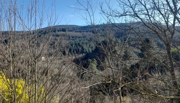 Logement �tudiant T3 &agrave; Saint Jean du Gard (30270)