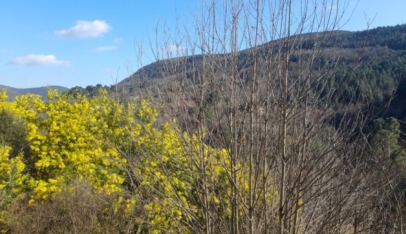 Logement �tudiant T3 &agrave; Saint Jean du Gard (30270)