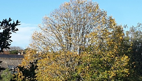 Logement tudiant T3 à Saint Nazaire (44600)