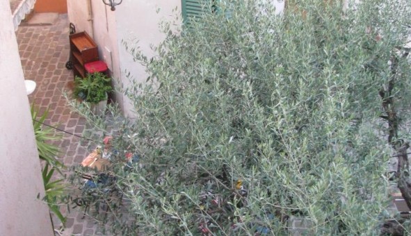 Logement tudiant T3 à Saint Raphal (83700)
