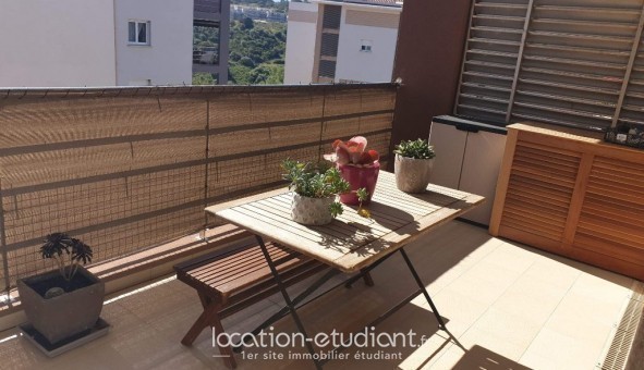 Logement �tudiant T3 &agrave; Sarrola carcopino (20167)