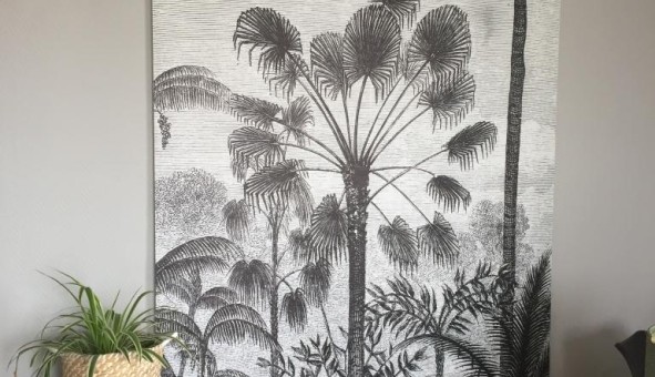 Logement tudiant Location T3 Vide Sedan (08200)