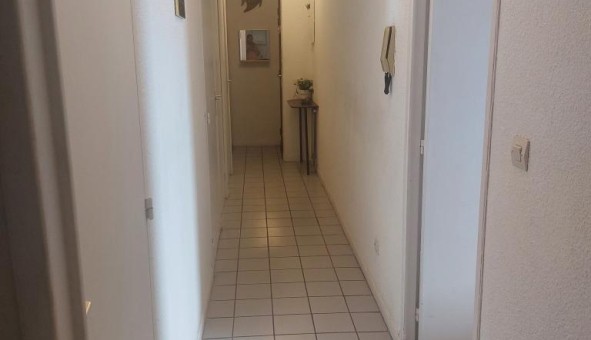 Logement tudiant T3 à Ste (34200)