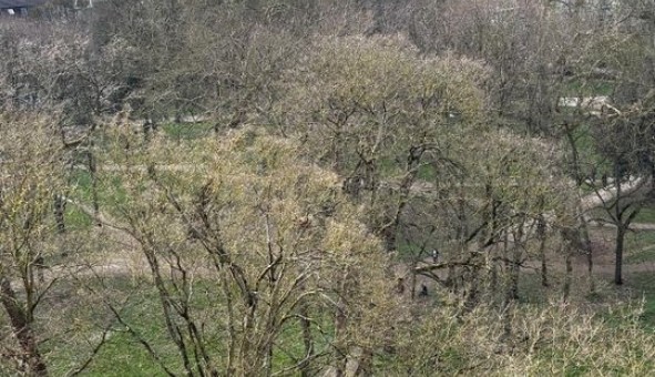 Logement �tudiant Location T3 Vide Sevran (93270)