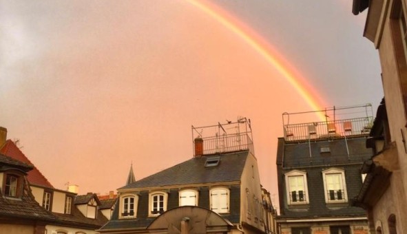 Logement �tudiant T3 &agrave; Strasbourg (67000)