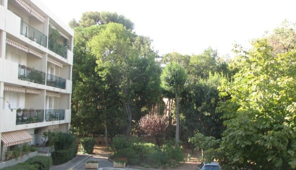 Logement tudiant Location T3 Vide Toulon (83200)