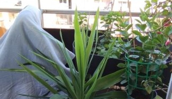 Logement �tudiant T3 &agrave; Toulon (83200)