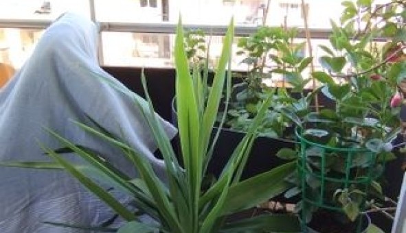 Logement �tudiant T3 &agrave; Toulon (83200)