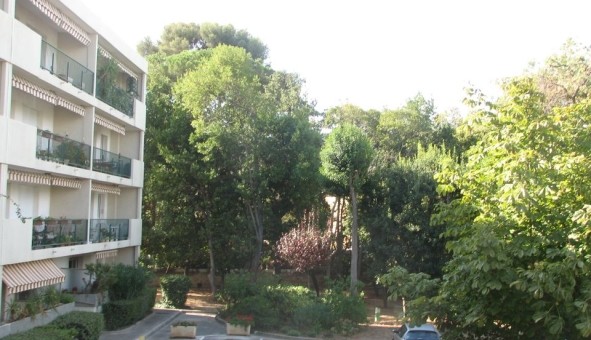 Logement �tudiant T3 &agrave; Toulon (83200)