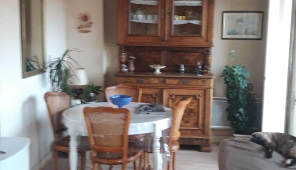 Logement tudiant T3 à Toulouse (31500)