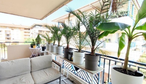 Logement tudiant T3 à Toulouse (31500)