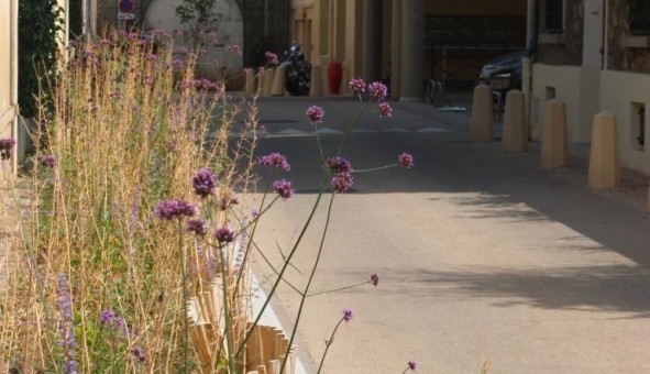 Logement tudiant T3 à Versailles (78000)