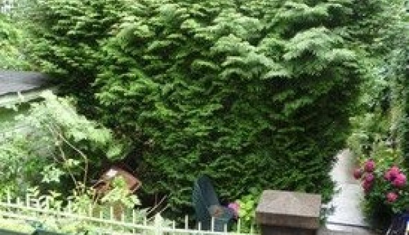 Logement �tudiant T3 &agrave; Versailles (78000)