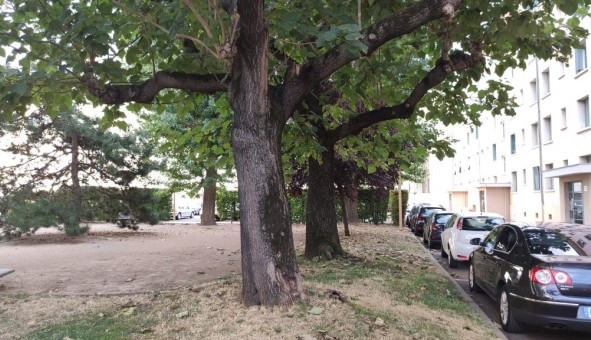 Logement tudiant T3 à Villeurbanne (69100)